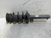 Front shock absorber with coil spring