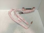 Airbag de la puerta delantera