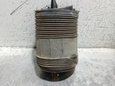 Front coil spring