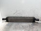 Intercooler radiator