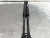 Tailgate/trunk strut/damper