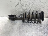 Front shock absorber with coil spring