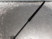 Front bonnet/hood damper/strut