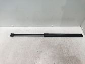 Front bonnet/hood damper/strut