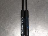 Front bonnet/hood damper/strut