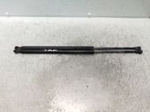 Tailgate/trunk strut/damper