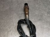 Sonde lambda