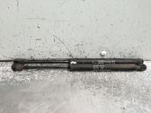 Tailgate/trunk strut/damper
