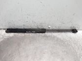 Tailgate/trunk strut/damper