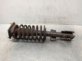 Front shock absorber with coil spring