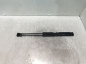 Tailgate/trunk strut/damper