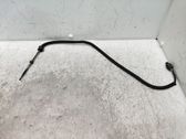 Sensor / Fühler / Geber
