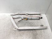 Airbag de la puerta delantera