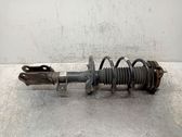 Front shock absorber with coil spring