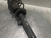 Front shock absorber with coil spring