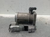 Throttle body valve