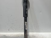 Stoßdämpfer hinten
