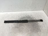 Tailgate/trunk strut/damper