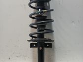 Amortiguador delantero con muelle espiral