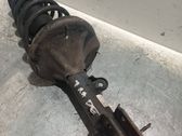 Stoßdämpfer hinten