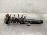 Front shock absorber with coil spring