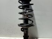 Front shock absorber with coil spring
