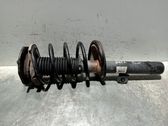 Amortiguador delantero con muelle espiral