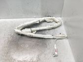 Front door airbag