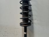 Rear shock absorber/damper