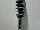 Amortiguador delantero con muelle espiral