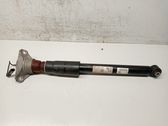 Stoßdämpfer hinten
