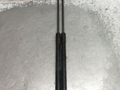 Tailgate/trunk strut/damper