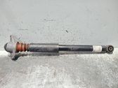 Stoßdämpfer hinten