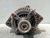 Generator/alternator