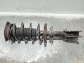 Amortiguador delantero con muelle espiral