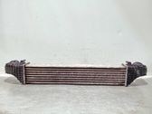 Intercooler radiator