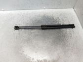 Vérin, capot-moteur