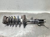 Stoßdämpfer hinten