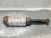 Front shock absorber with coil spring