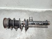 Amortiguador delantero con muelle espiral