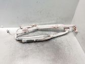 Airbag de la puerta delantera