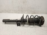 Front shock absorber with coil spring
