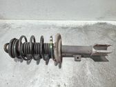 Front shock absorber with coil spring