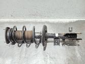 Front shock absorber with coil spring