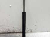 Tailgate/trunk strut/damper