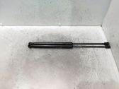 Tailgate/trunk strut/damper