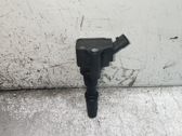 High voltage ignition coil