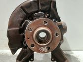 Front wheel hub spindle knuckle