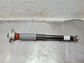 Rear shock absorber/damper
