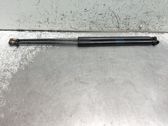 Gasdruckfeder Dämpfer Motorhaube